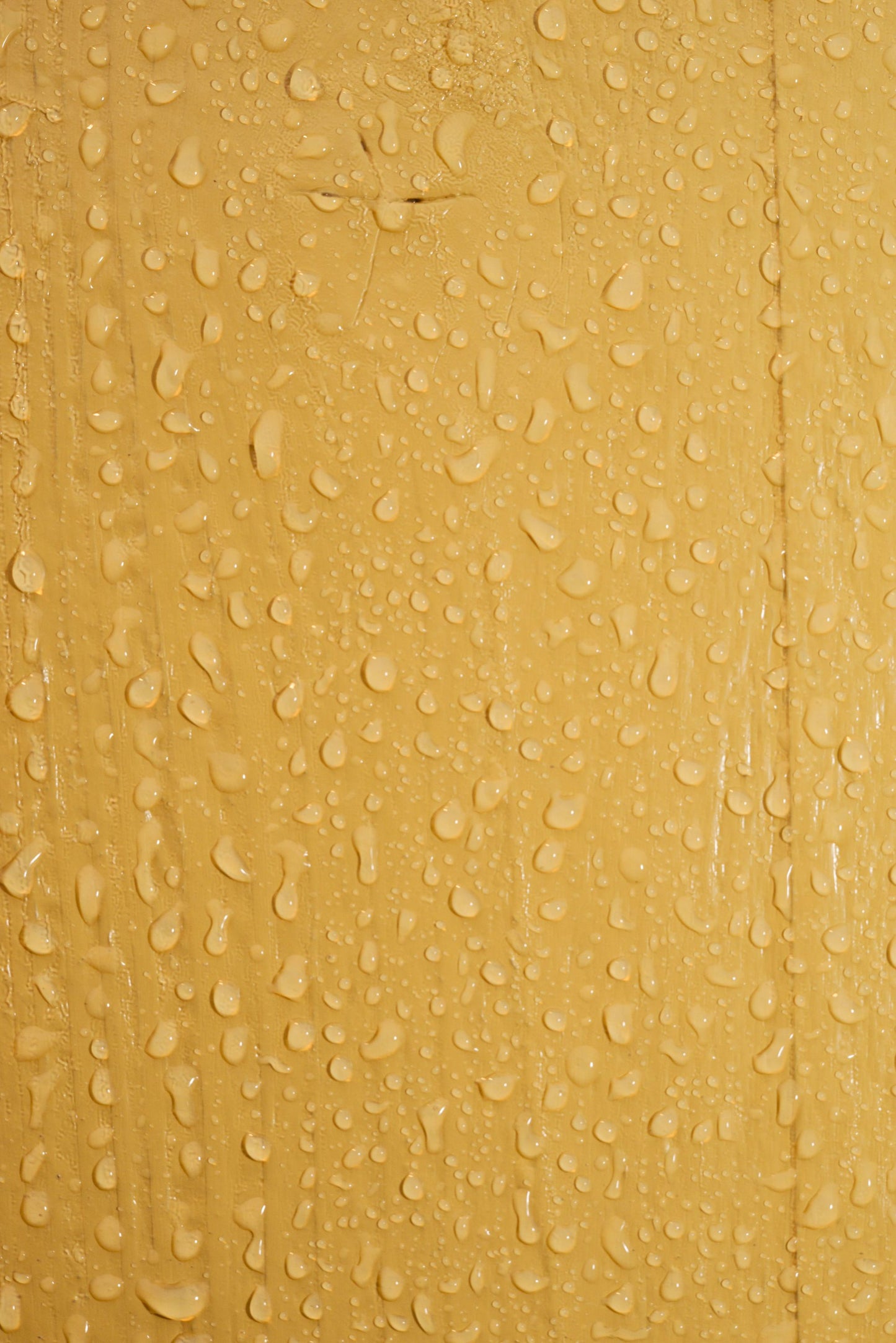 LEINOS Wetterschutzfarbe 2,5 l | Maisgelb Holzlasur für Holzfassaden Fenster Gartenhäuser| wetterbeständige Deckfarbe für effektive Versiegelung und langanhaltenden Schutz auf Ölbasis im Außenbereich