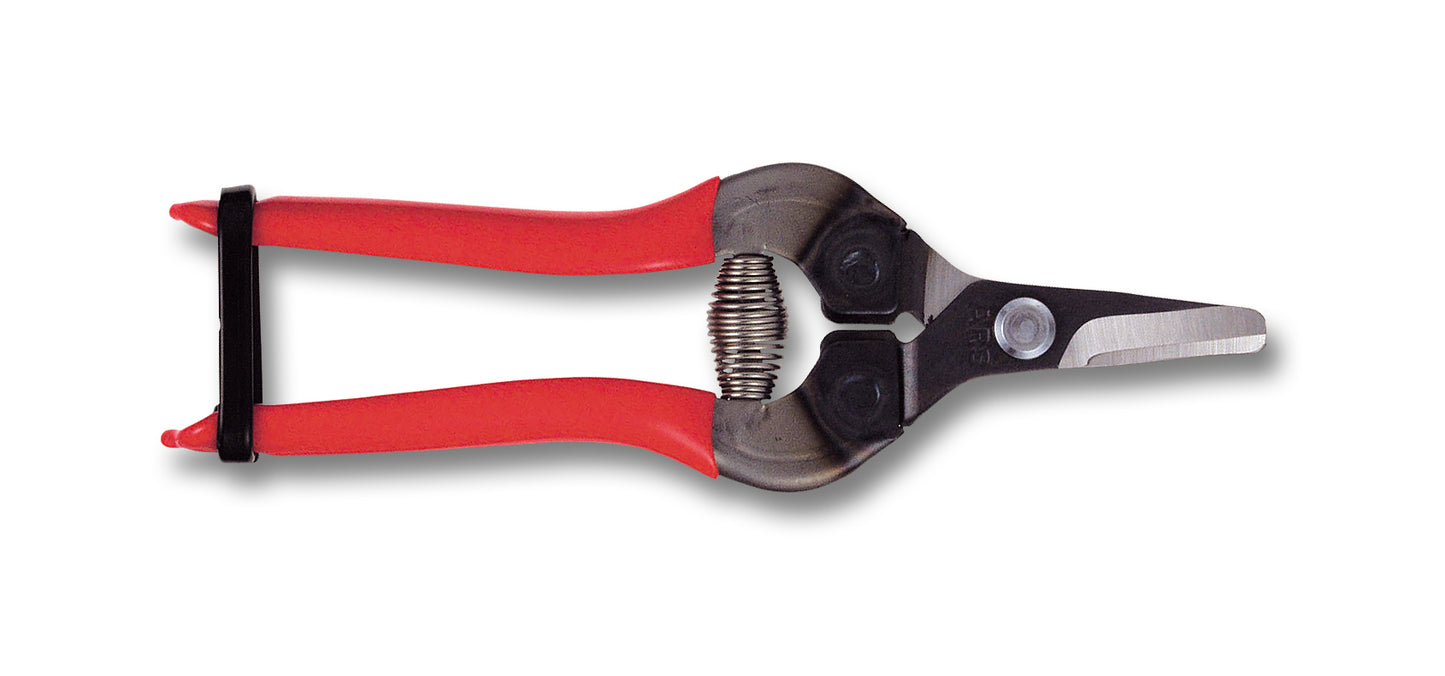 ARS 310 Obstschere rot | für das Schneiden von Obst, Gemüse und anderen Ernten entwickelt | 90 gramm | Länge 160mm | Hände ermüden nicht