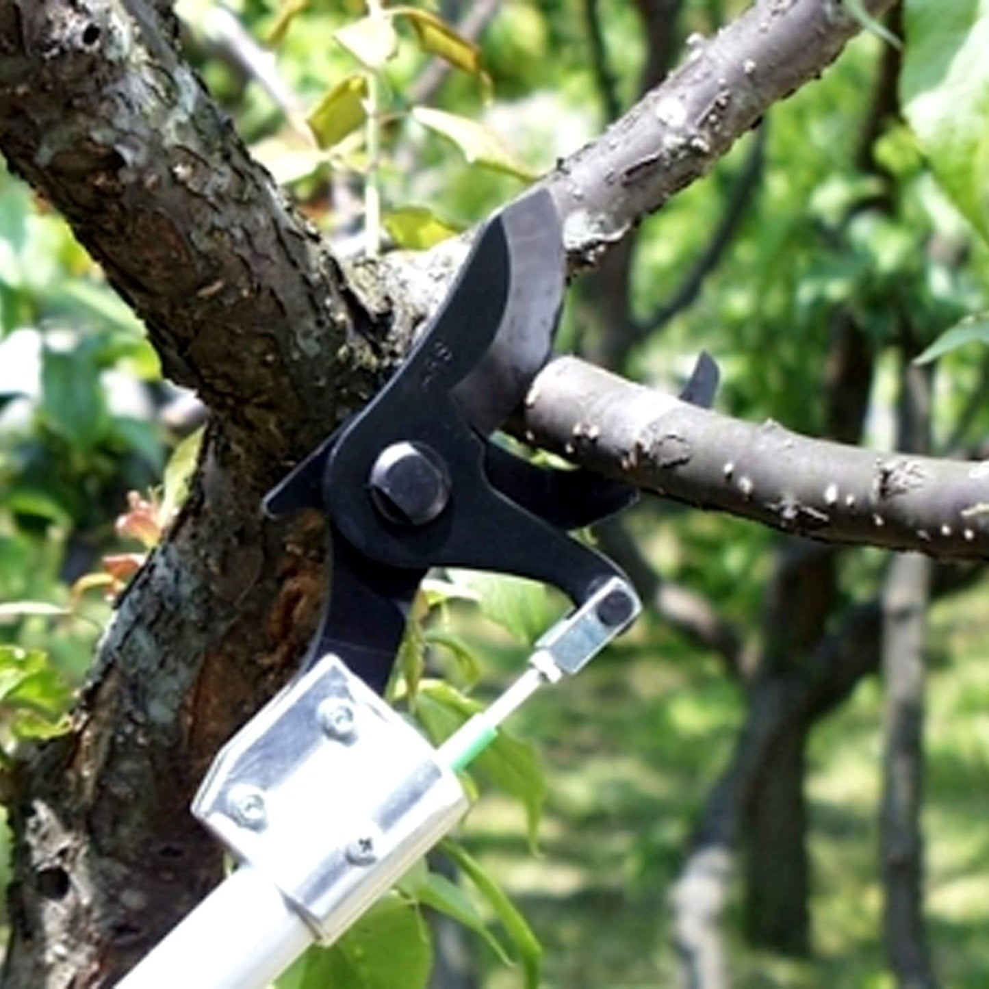 ARS Astschere Baumschere Y-Schere Y-185-1.5 Alu – Langarm-Astschere mit 180° drehbarem Schneidkopf, Schultergurt und Aluminiumgestänge für müheloses Schneiden von Ästen bis Ø 40 mm, ergonomisch und stabil