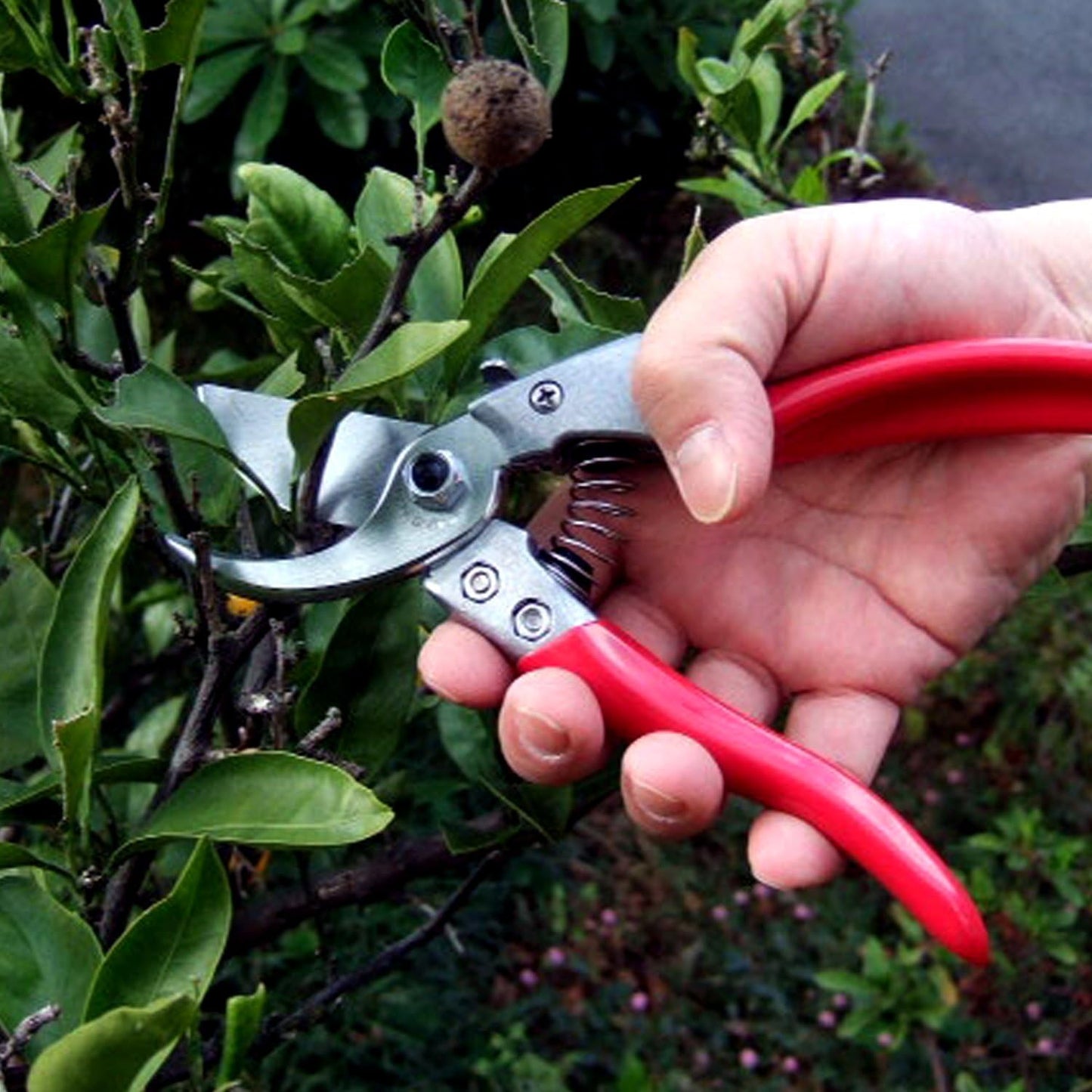 ARS Profi-Gartenschere VS-8XZ | rasiermesserscharfer Klinge | Einhandverriegelung | gummierte Griffe | Klinge austauschbar