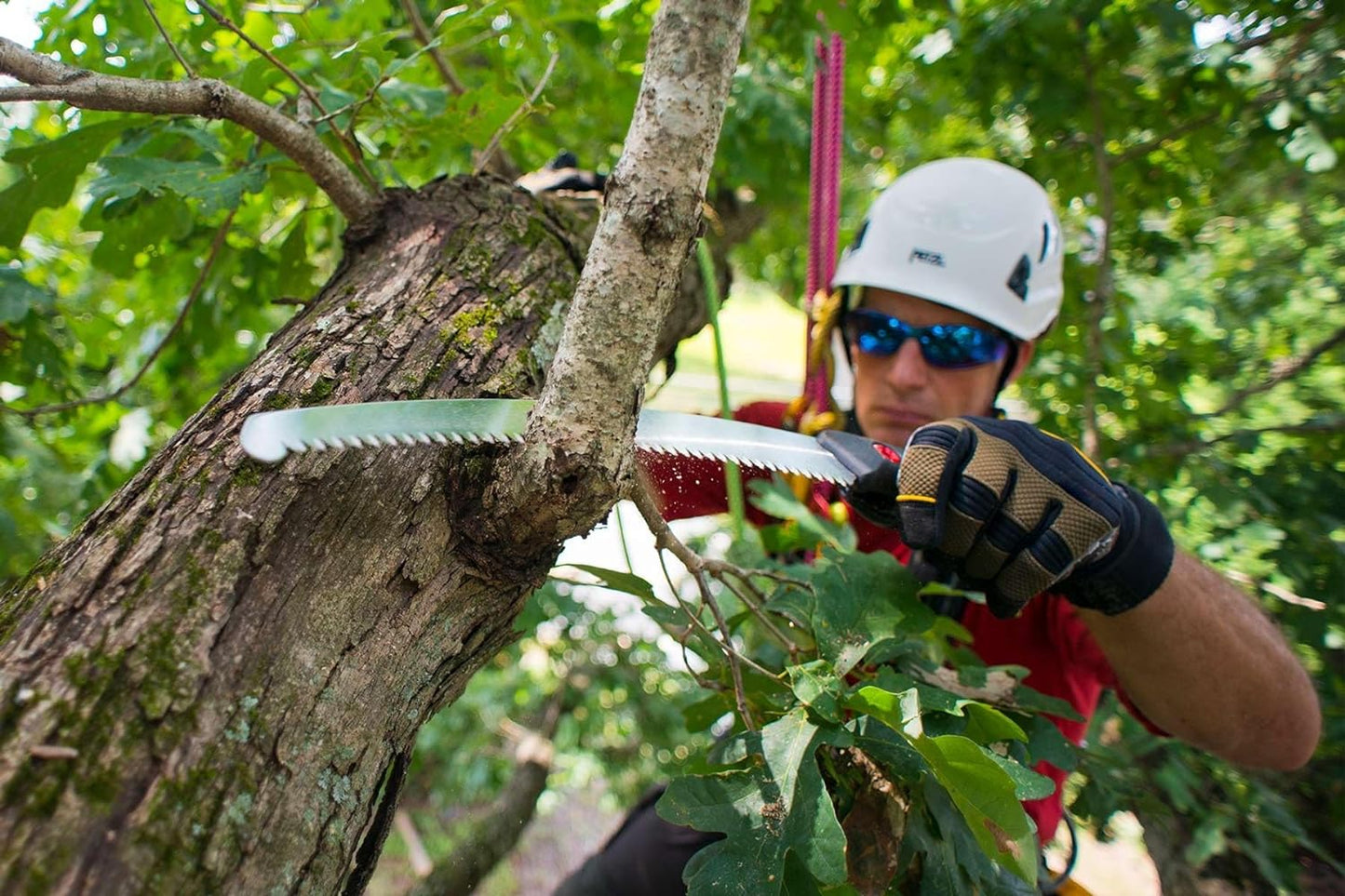 Silky Zübat Professional 330 mm – Japanische Profi-Astsäge mit gebogener Klinge & 7,5 Zähne je 30 mm | Gartensäge für frisches Holz, Baum- & Landschaftspflege, Forst & Outdoor