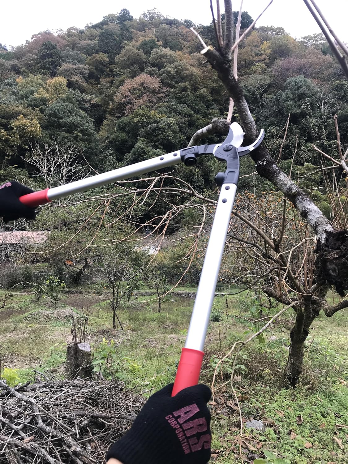 ARS Astschere LPB-30M | KWF-geprüfte Baumschere für eine maximale Schnittstärke von 36 mm | vollgeschmiedete Gegenklinge minimiert die Reibung während des Schneidens