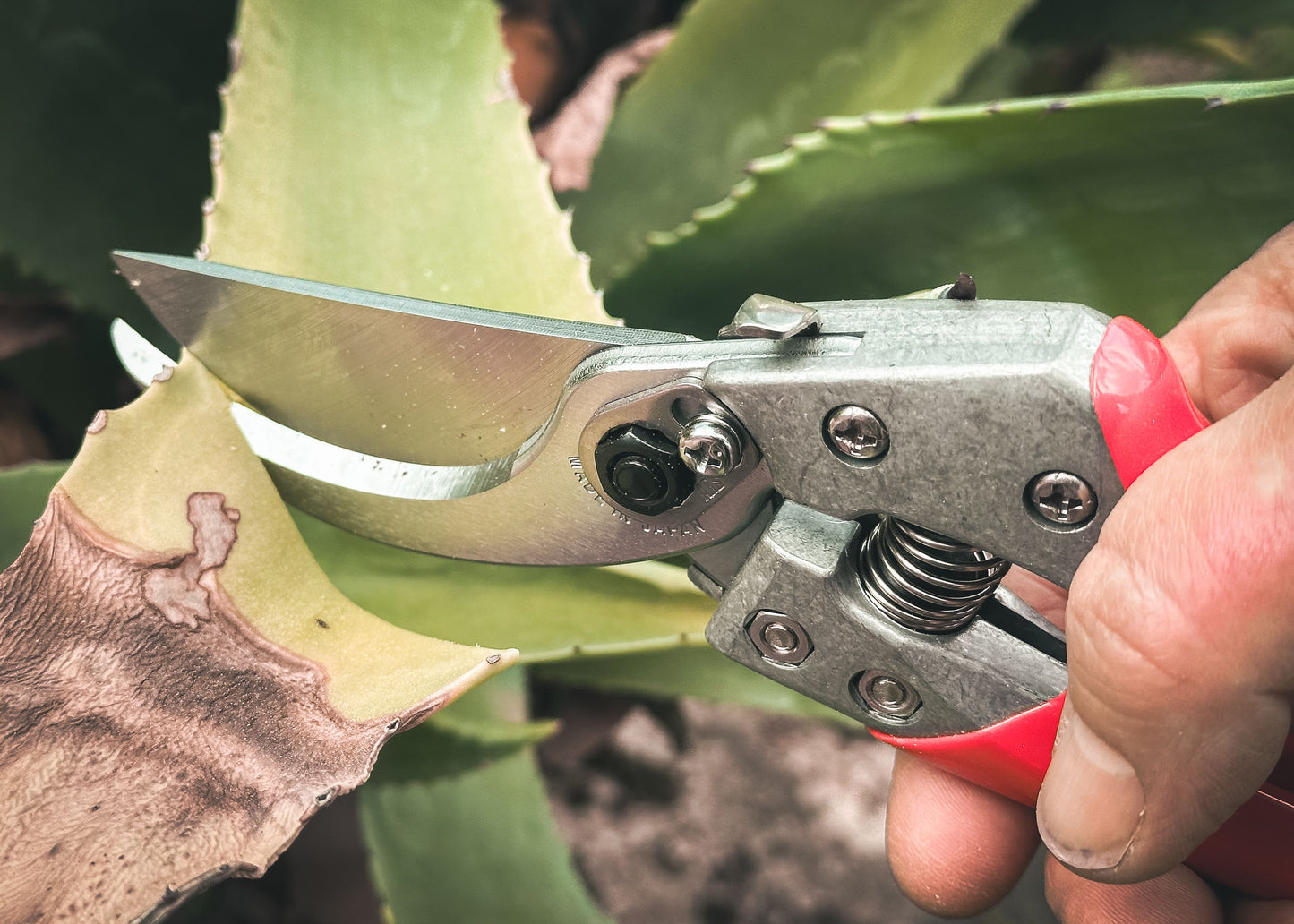 Cut360 Profi-Gartenschere für Astdurchmesser bis Ø 25 mm, Kleine Gartenschere perfekt ausbalanciert inkl. Einhandverriegelung