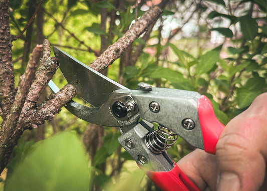 Cut360 Profi-Gartenschere für Astdurchmesser bis Ø 25 mm, Kleine Gartenschere perfekt ausbalanciert inkl. Einhandverriegelung