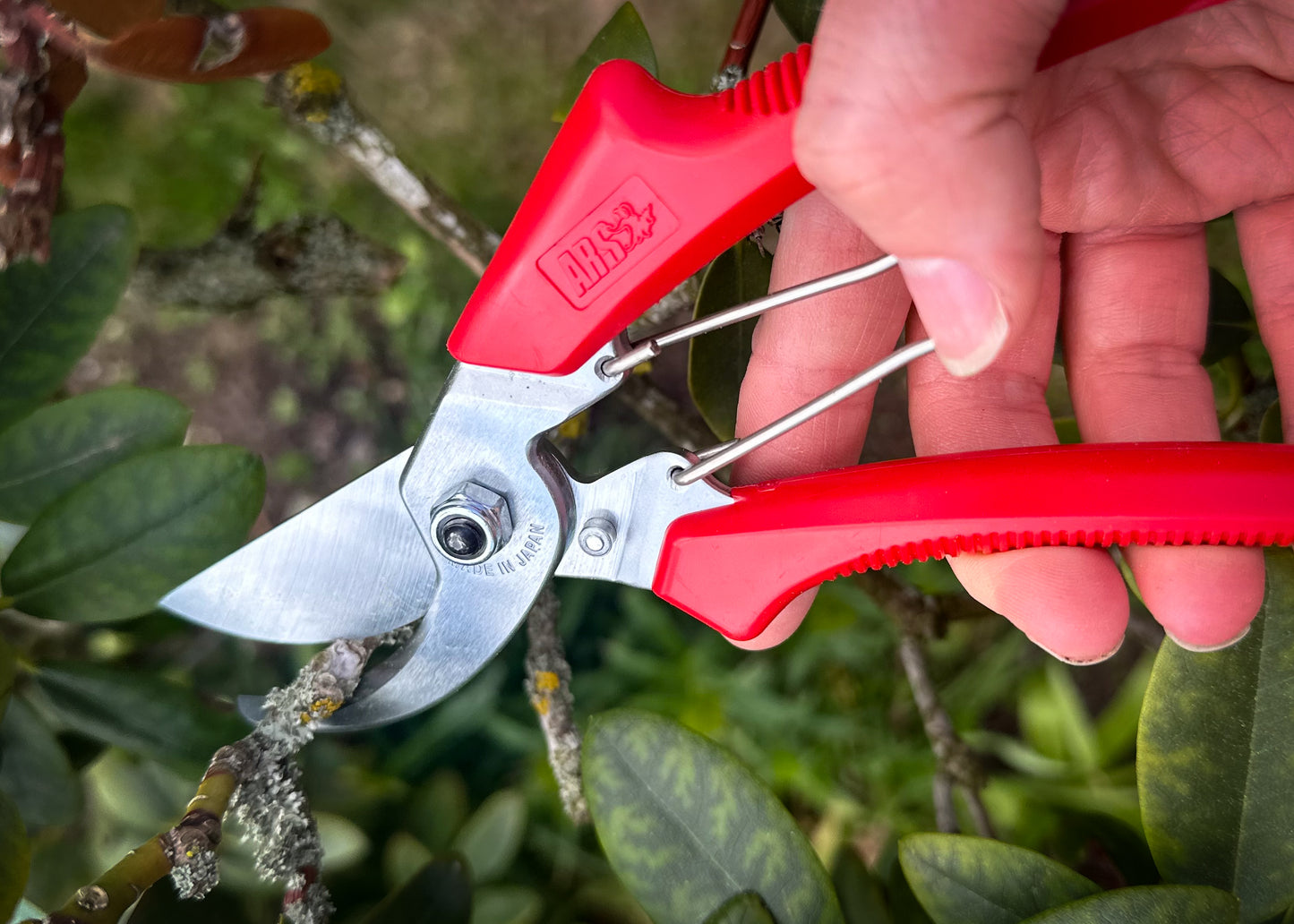 ARS Gartenschere 120DX