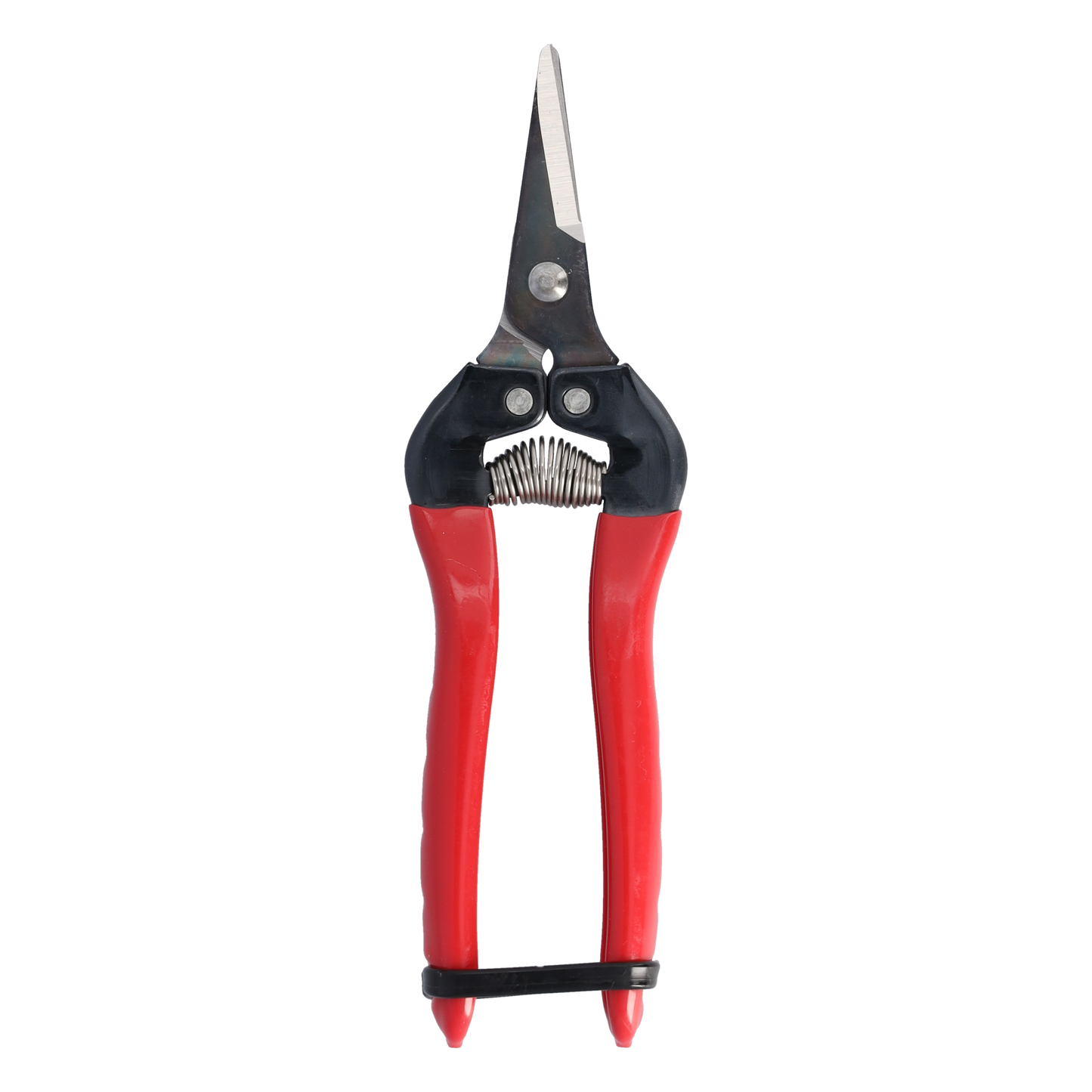 Cut360 Ernteschere, filigrane Obstschere, Gartenschere mit runder Klinge, Minischere geeignet als Bonsaischere