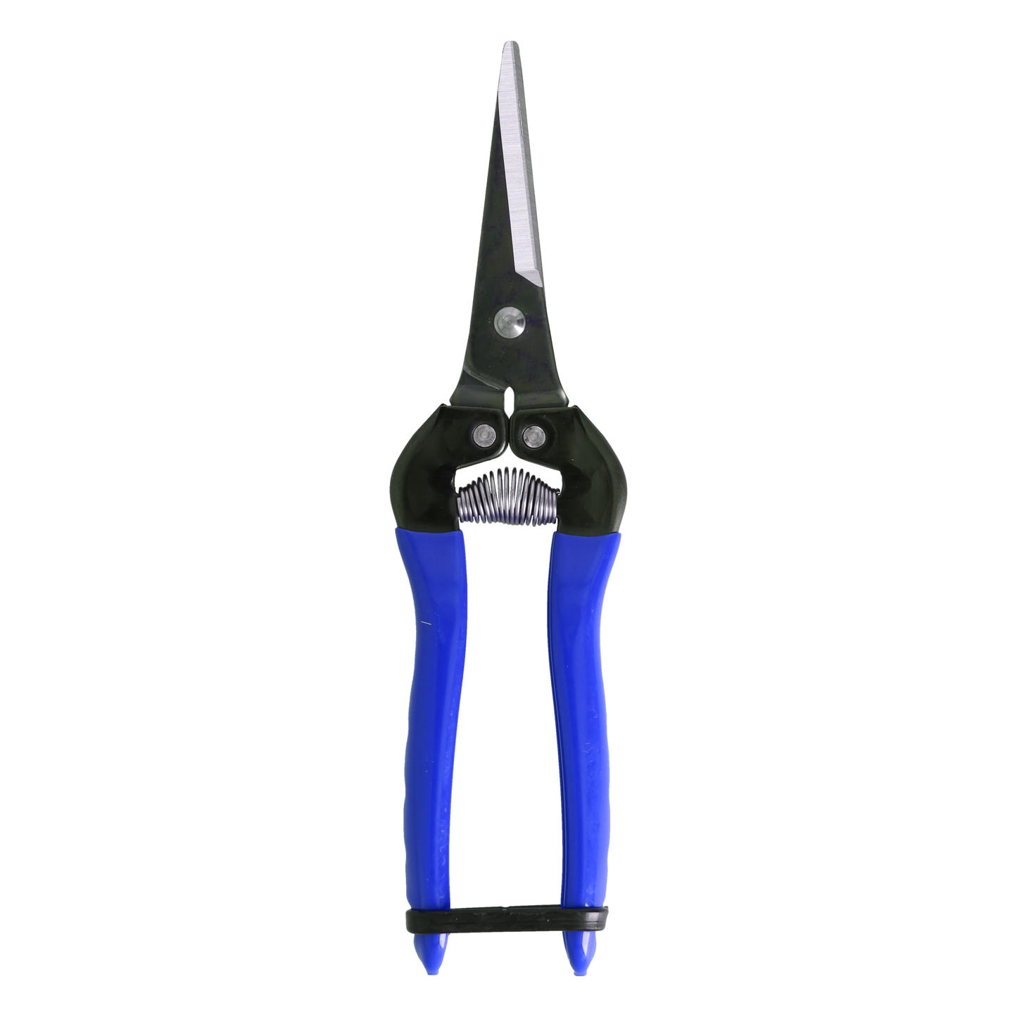 Cut360 Ernteschere, filigrane Obstschere, Gartenschere mit spitzer Klinge, Minischere geeignet als Bonsaischere