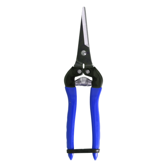 Cut360 Ernteschere, filigrane Obstschere, Gartenschere mit spitzer Klinge, Minischere geeignet als Bonsaischere