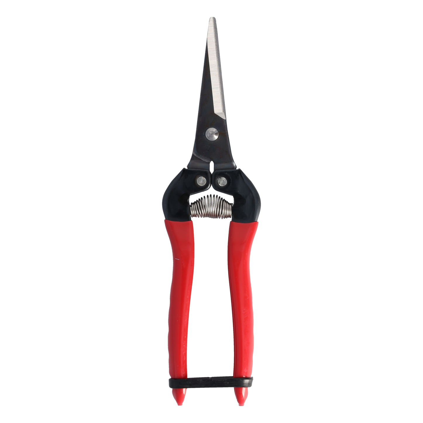 Cut360 Ernteschere, filigrane Obstschere, Gartenschere mit spitzer Klinge, Minischere geeignet als Bonsaischere