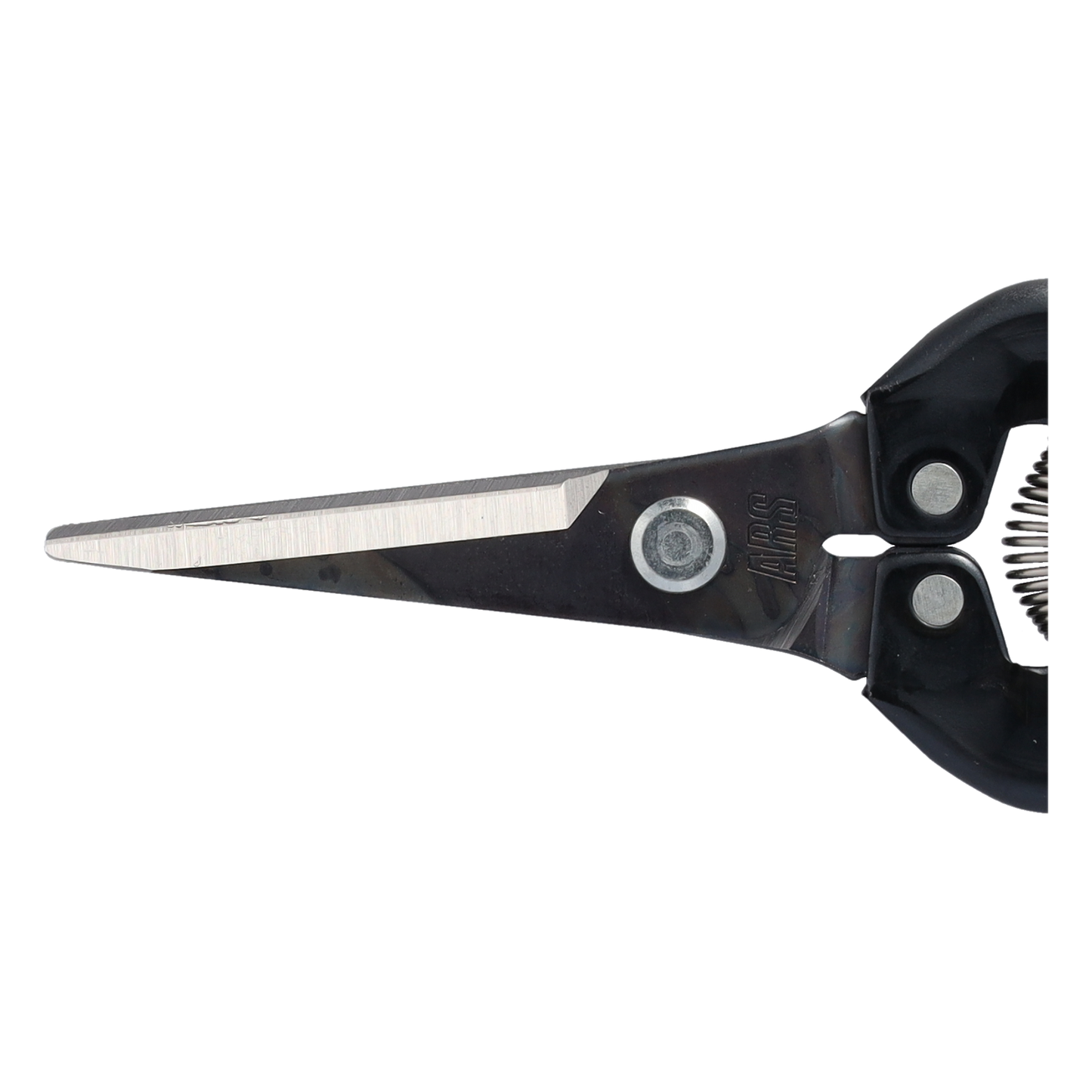 ARS Floristen/Ernteschere 300L-BL