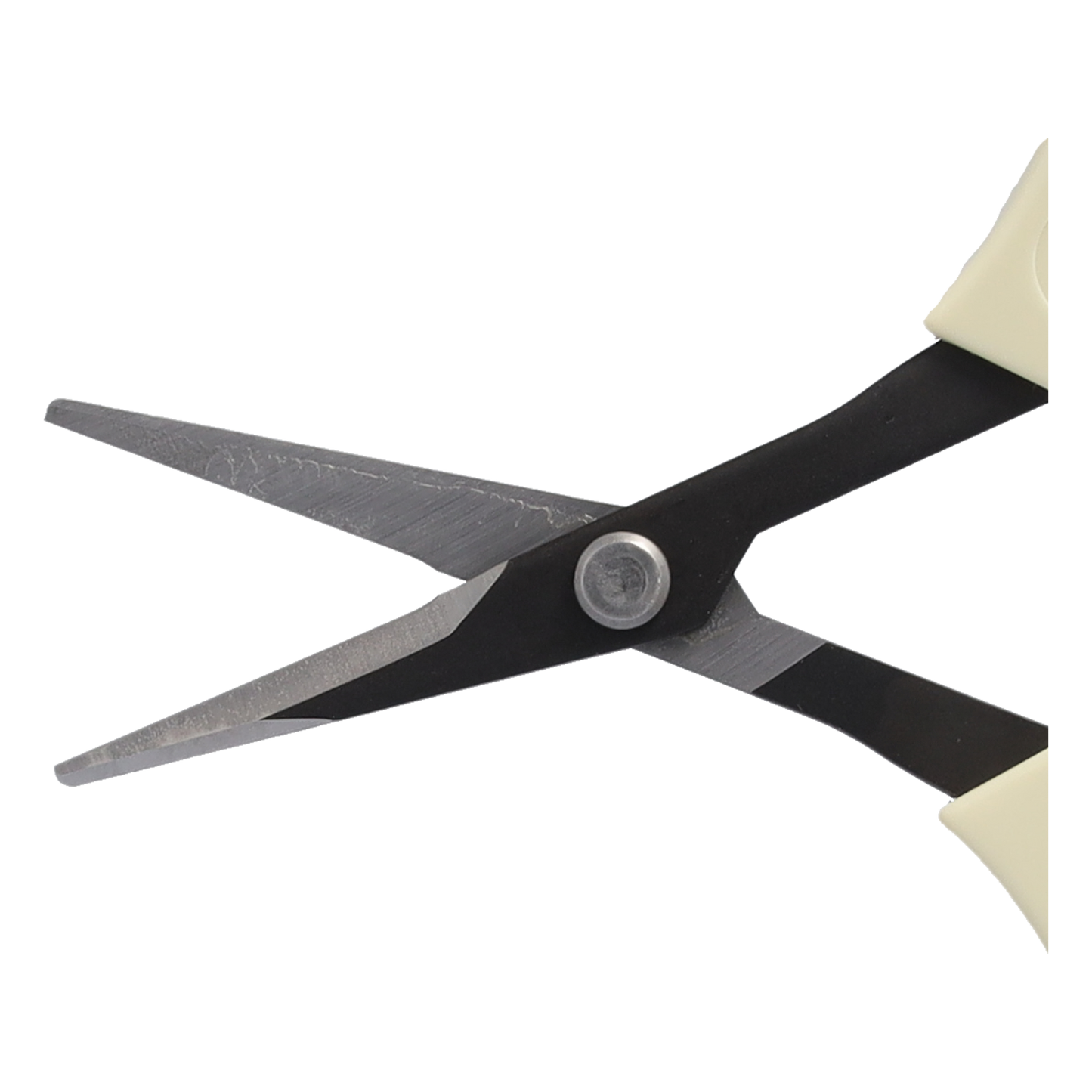 ARS 320BT Schere | Stecklingsschere | einem unlegierten Hartstahlblatt und einer Länge von 15,5 cm ist sie ideal zum Schneiden von Stecklingen und kleinen Zweigen.