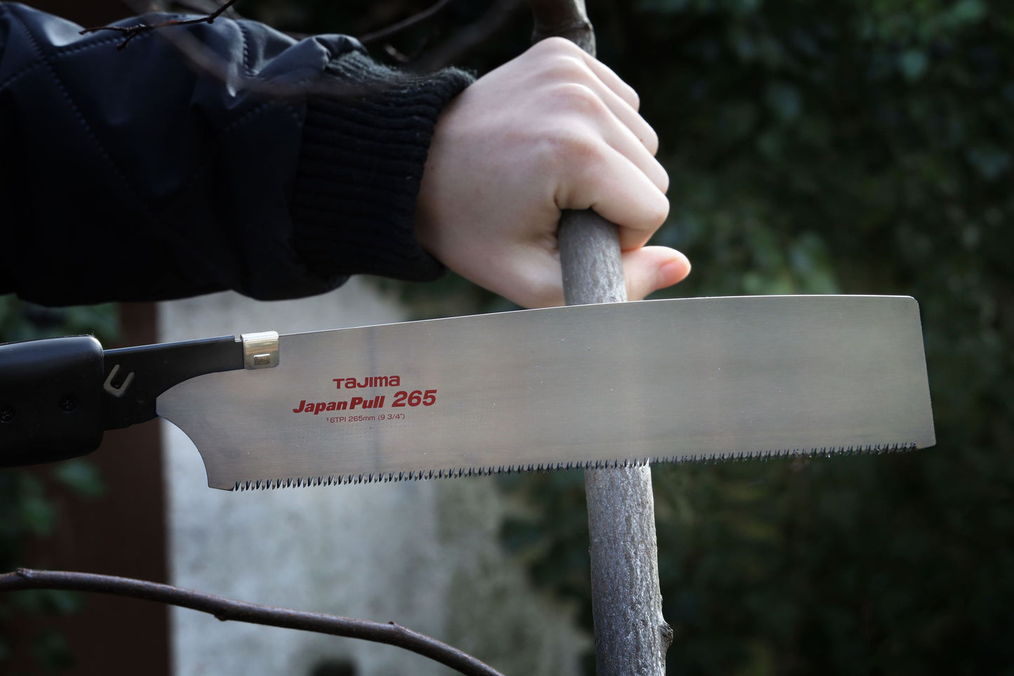 TAJIMA Japan Pull Säge 265mm, 16 Zähne pro Zoll & 0,9mm Stärke, Handsäge aus Japan