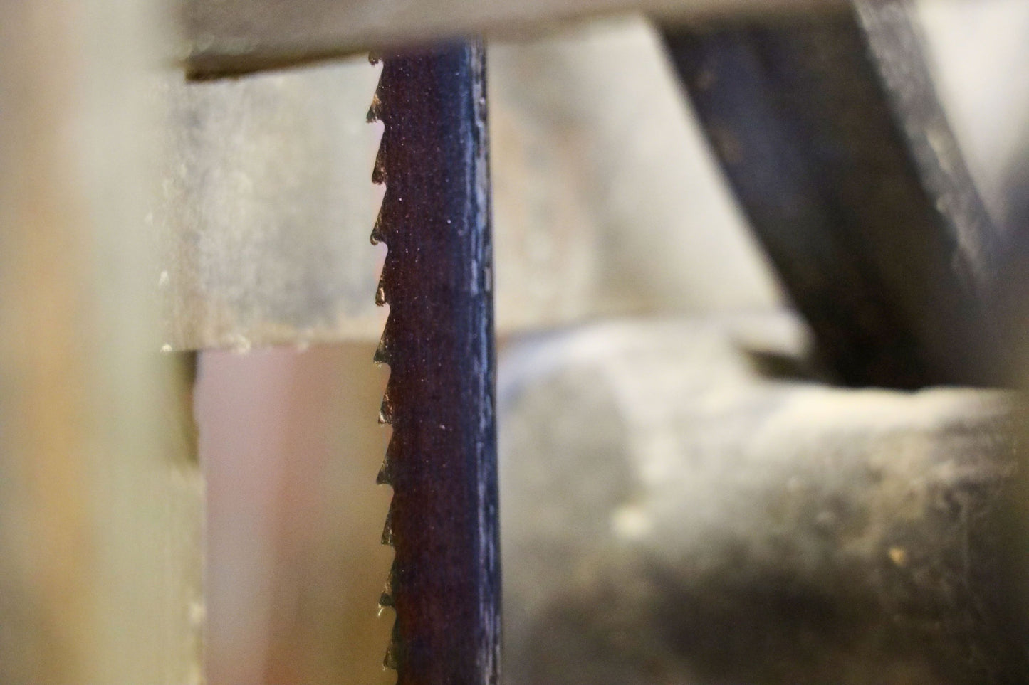 Bandsägeblatt Flexback mit gehärteten Zahnspitzen | 4950 x 16 x 0,65 mm 3 Zähne pro Zoll | Geeignet für alle Holzarten | Hohe Standzeit, flexibles Sägeband, Räumerverzahnung | Made in Germany