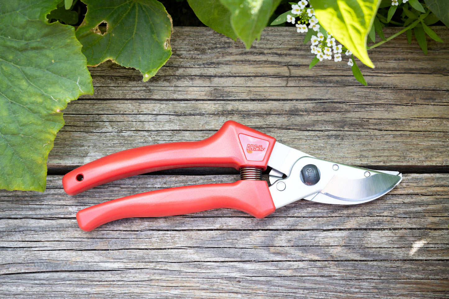 Cut360 Rosenschere, Präsentierschere für Zweigdurchmesser bis Ø 10 mm, Kleine Gartenschere perfekt ausbalanciert
