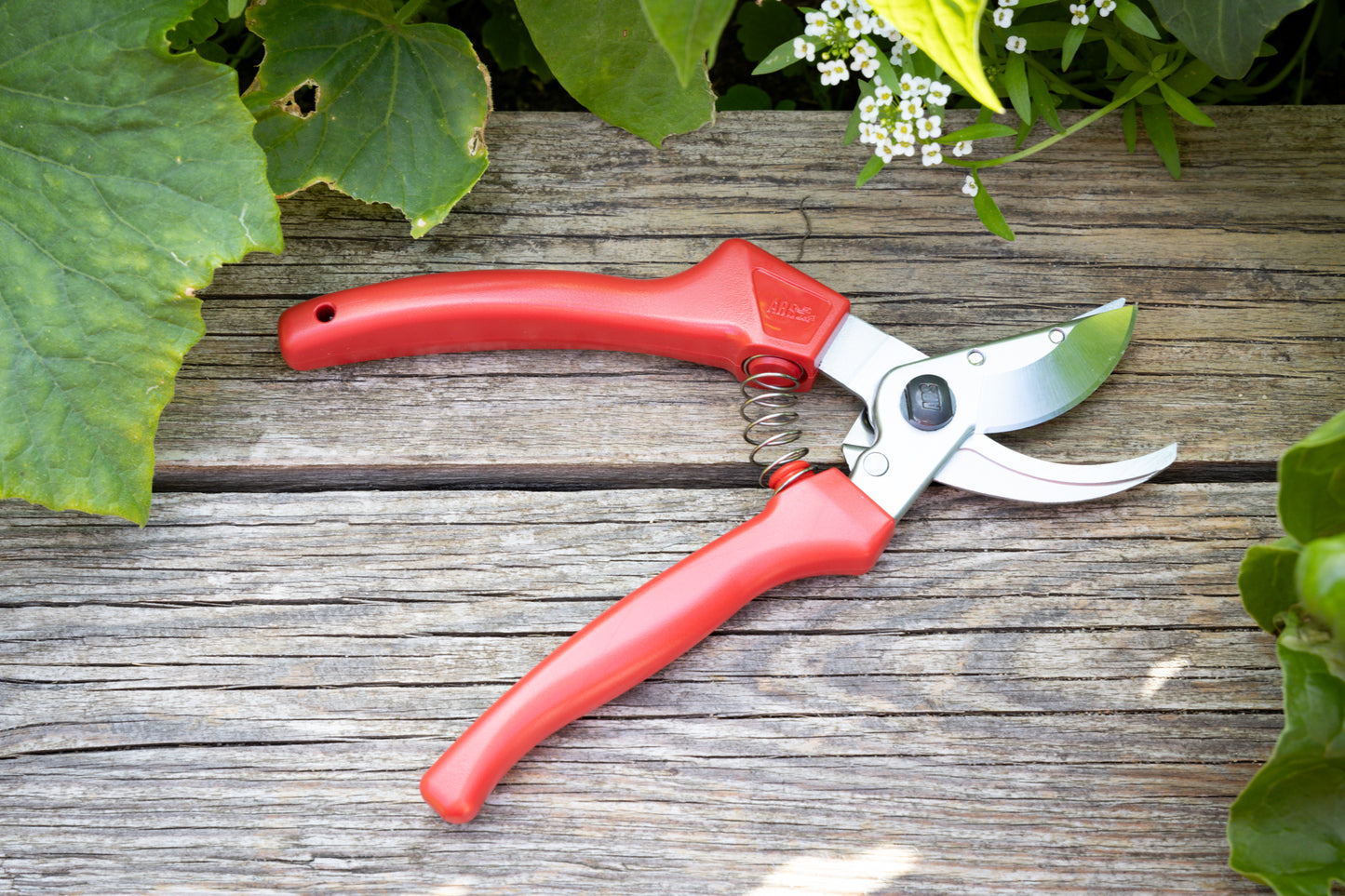 Cut360 Rosenschere, Präsentierschere für Zweigdurchmesser bis Ø 10 mm, Kleine Gartenschere perfekt ausbalanciert