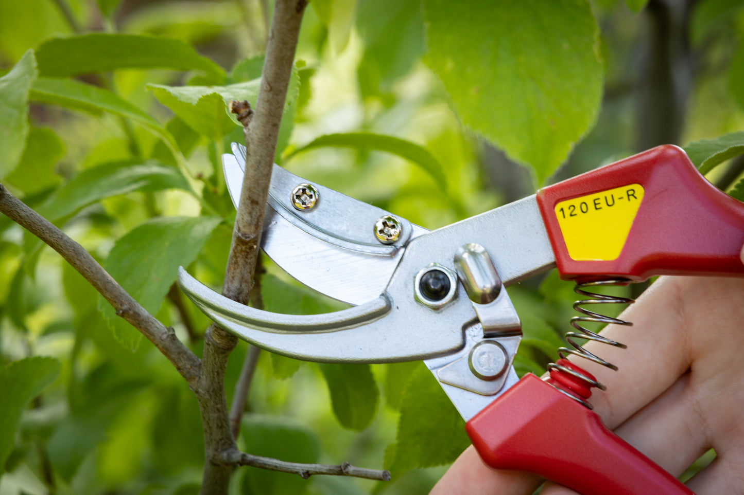 Cut360 Rosenschere, Präsentierschere für Zweigdurchmesser bis Ø 10 mm, Kleine Gartenschere perfekt ausbalanciert