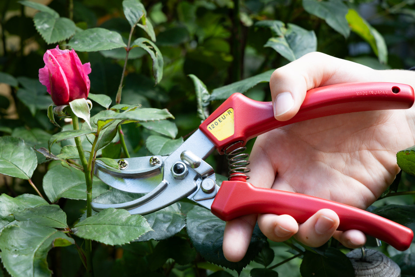 Cut360 Rosenschere, Präsentierschere für Zweigdurchmesser bis Ø 10 mm, Kleine Gartenschere perfekt ausbalanciert