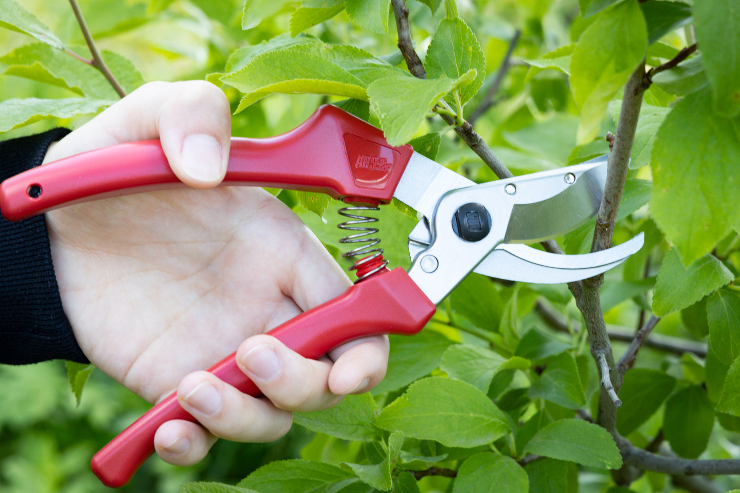 Cut360 Rosenschere, Präsentierschere für Zweigdurchmesser bis Ø 10 mm, Kleine Gartenschere perfekt ausbalanciert