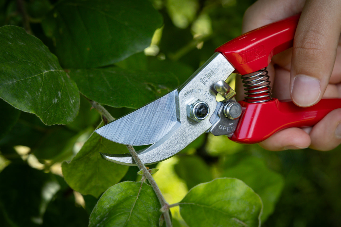 Cut360 Kleine Gartenschere, zarte Rosenschere für Zweigdurchmesser bis Ø 19 mm, Kleine Gartenschere perfekt ausbalanciert