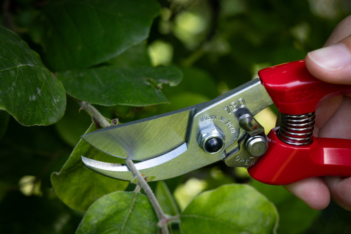 Cut360 Kleine Gartenschere, zarte Rosenschere für Zweigdurchmesser bis Ø 19 mm, Kleine Gartenschere perfekt ausbalanciert