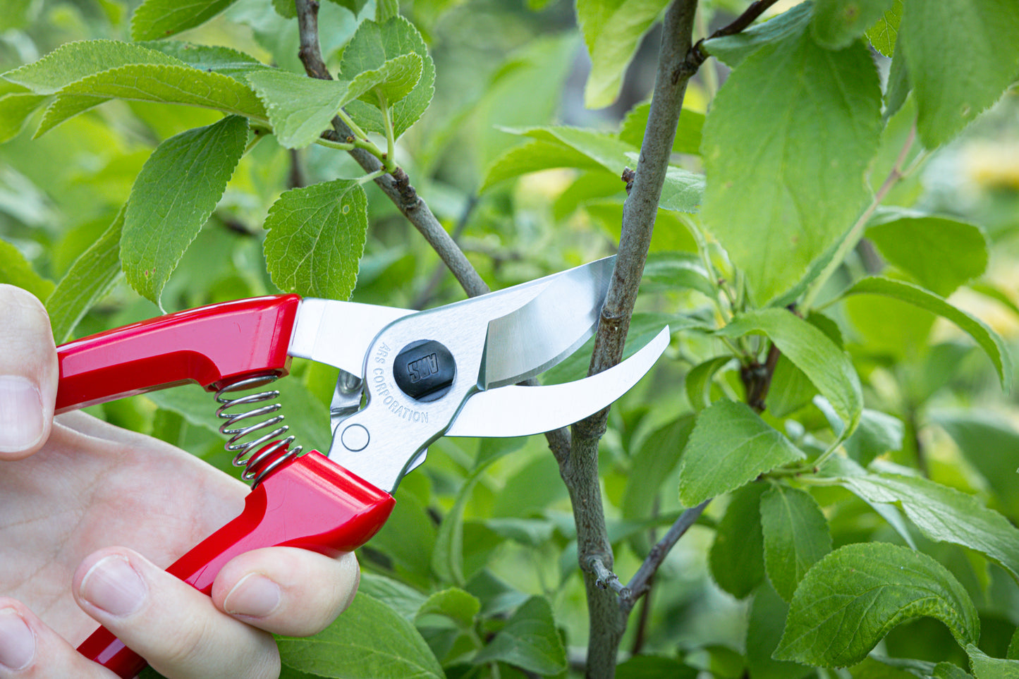 Cut360 Kleine Gartenschere, zarte Rosenschere für Zweigdurchmesser bis Ø 19 mm, Kleine Gartenschere perfekt ausbalanciert