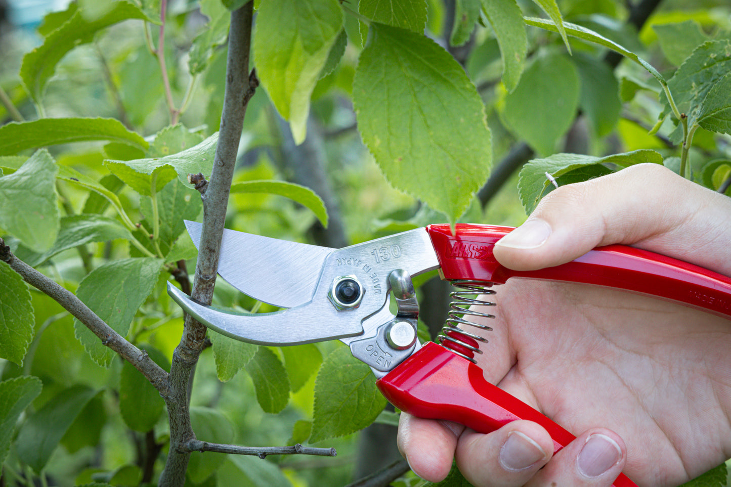 Cut360 Kleine Gartenschere, zarte Rosenschere für Zweigdurchmesser bis Ø 19 mm, Kleine Gartenschere perfekt ausbalanciert