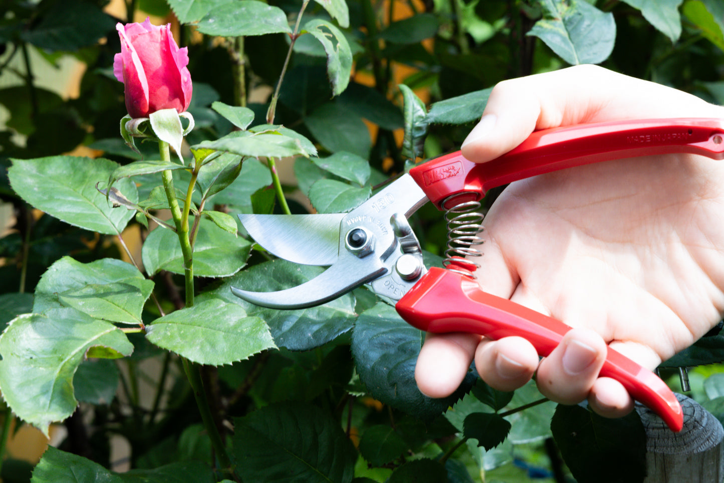 Cut360 Kleine Gartenschere, zarte Rosenschere für Zweigdurchmesser bis Ø 19 mm, Kleine Gartenschere perfekt ausbalanciert