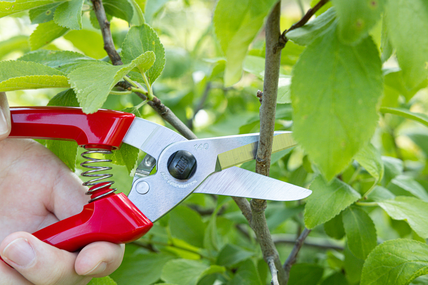 Cut360 Kleine Gartenschere, zarte Rosenschere für Zweigdurchmesser bis Ø 12 mm, Kleine Gartenschere, Ikebana, perfekt ausbalanciert