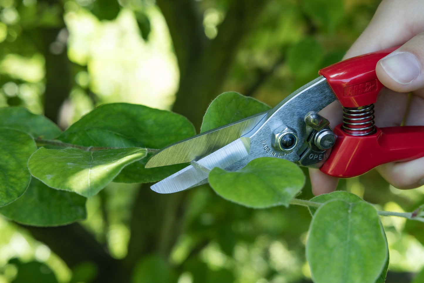 Cut360 Kleine Gartenschere, zarte Rosenschere für Zweigdurchmesser bis Ø 12 mm, Kleine Gartenschere, Ikebana, perfekt ausbalanciert