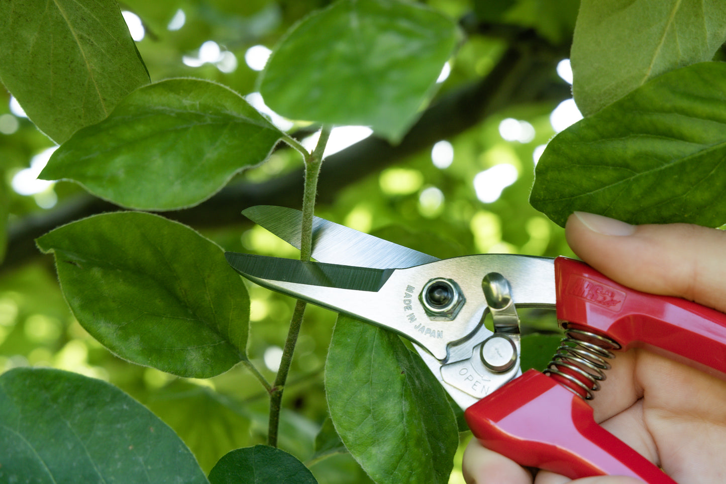 Cut360 Kleine Gartenschere, zarte Rosenschere für Zweigdurchmesser bis Ø 12 mm, Kleine Gartenschere, Ikebana, perfekt ausbalanciert