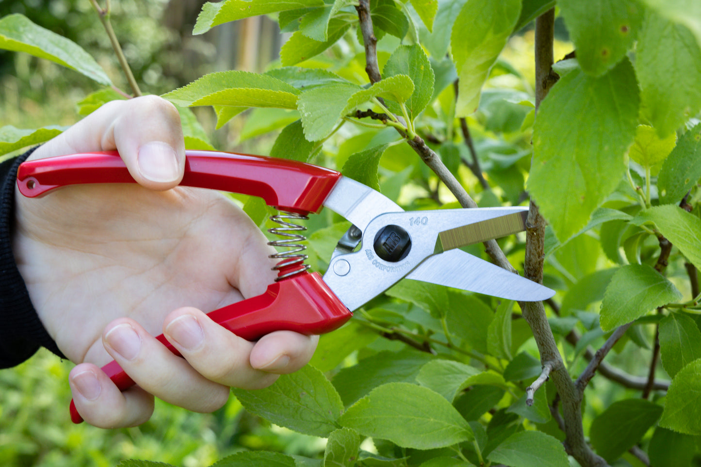 Cut360 Kleine Gartenschere, zarte Rosenschere für Zweigdurchmesser bis Ø 12 mm, Kleine Gartenschere, Ikebana, perfekt ausbalanciert