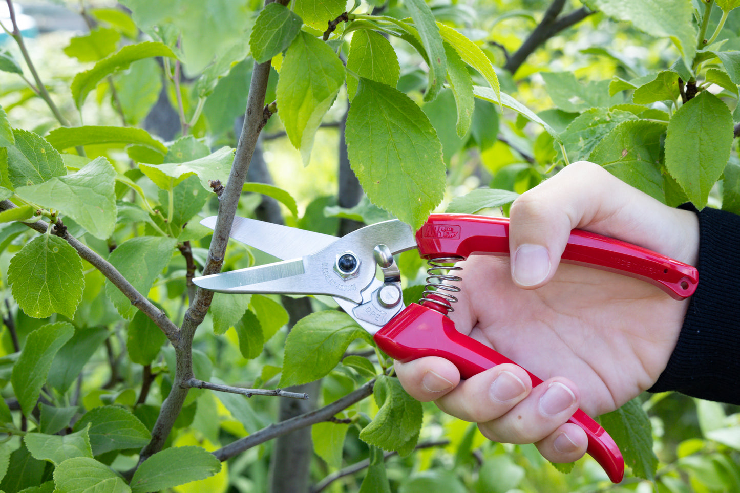 Cut360 Kleine Gartenschere, zarte Rosenschere für Zweigdurchmesser bis Ø 12 mm, Kleine Gartenschere, Ikebana, perfekt ausbalanciert