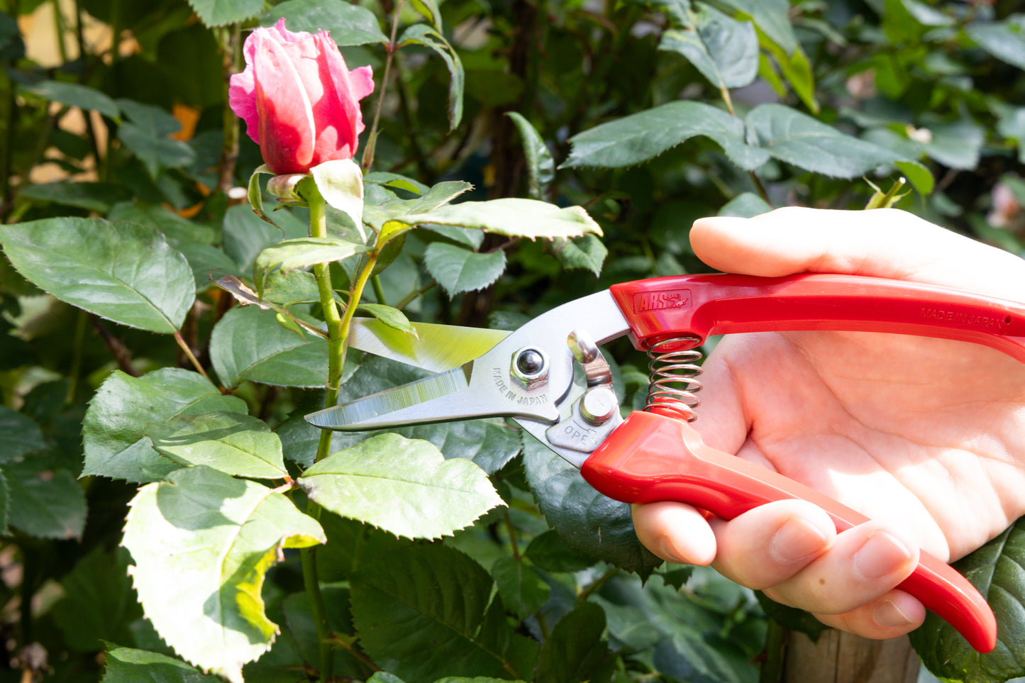 Cut360 Kleine Gartenschere, zarte Rosenschere für Zweigdurchmesser bis Ø 12 mm, Kleine Gartenschere, Ikebana, perfekt ausbalanciert