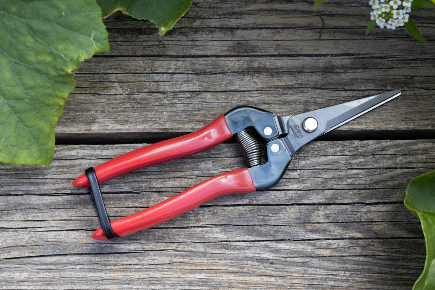 Cut360 Ernteschere, filigrane Obstschere, Gartenschere mit spitzer Klinge, Minischere geeignet als Bonsaischere