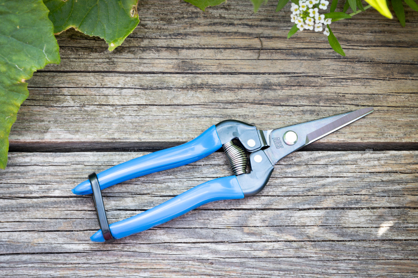 Cut360 Ernteschere, filigrane Obstschere, Gartenschere mit spitzer Klinge, Minischere geeignet als Bonsaischere
