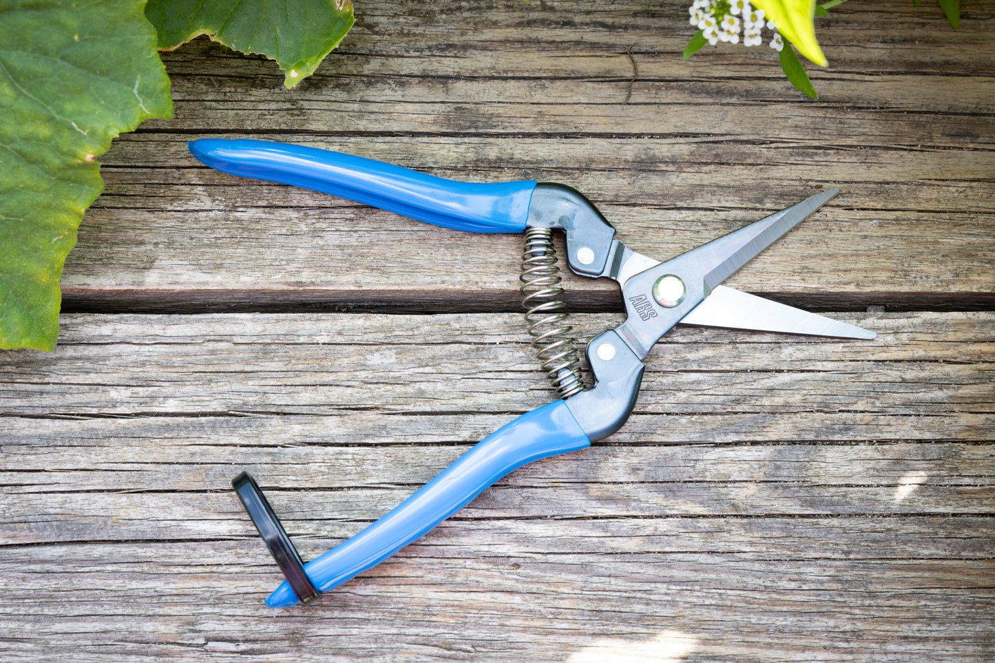 Cut360 Ernteschere, filigrane Obstschere, Gartenschere mit spitzer Klinge, Minischere geeignet als Bonsaischere