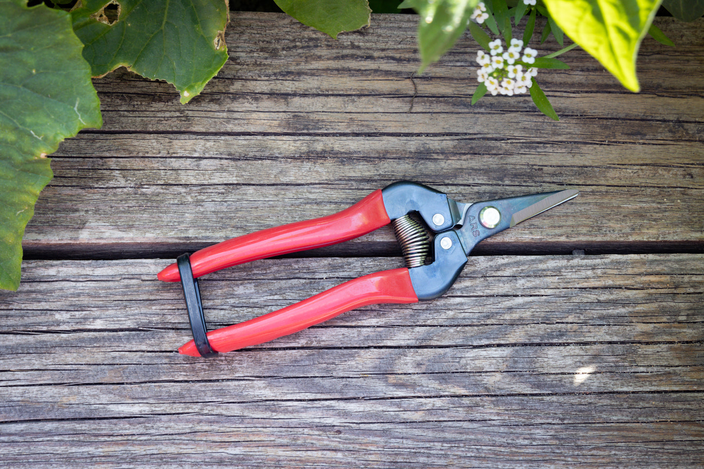 Cut360 Ernteschere, filigrane Obstschere, Gartenschere mit runder Klinge, Minischere geeignet als Bonsaischere