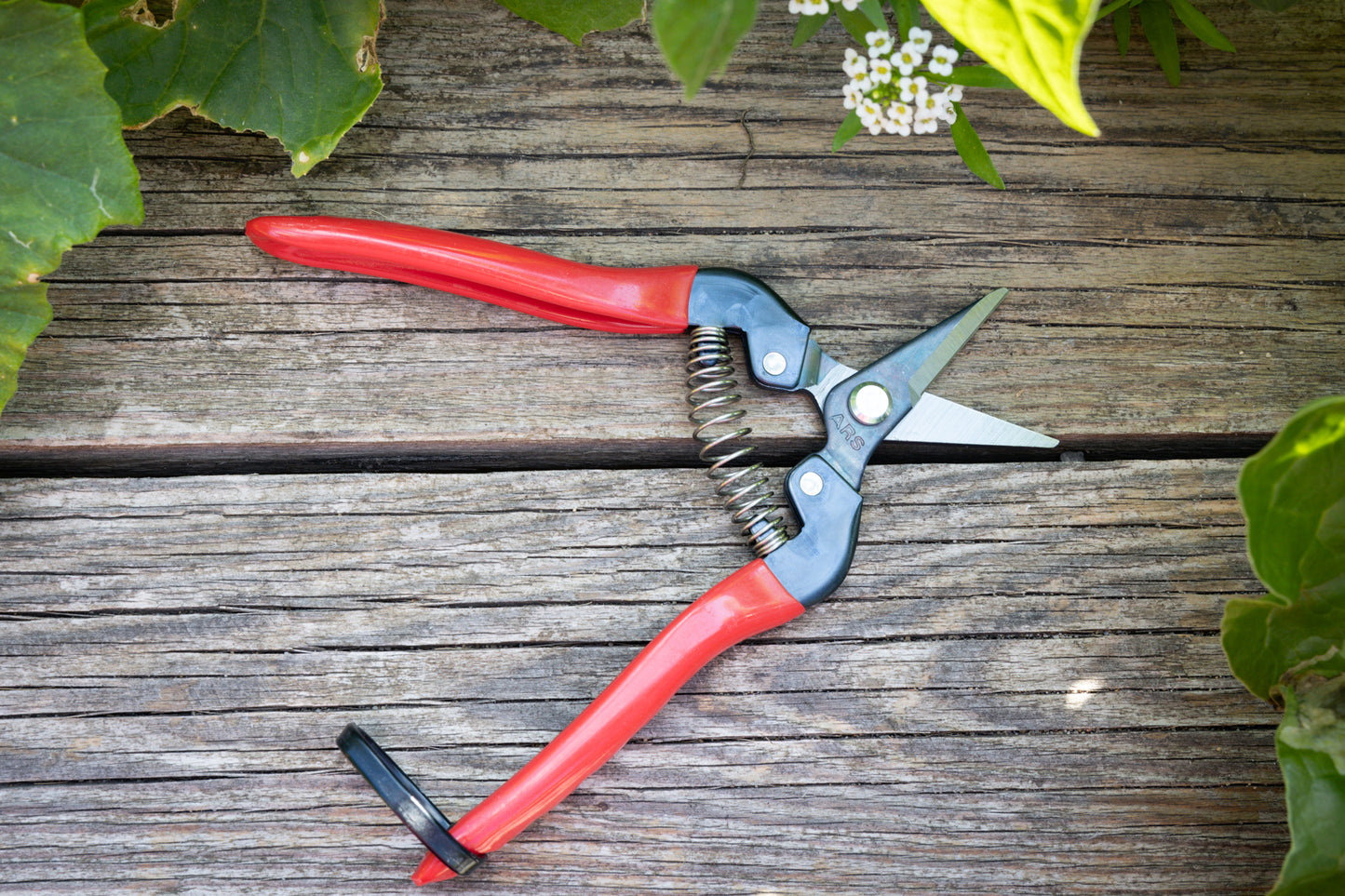 Cut360 Ernteschere, filigrane Obstschere, Gartenschere mit runder Klinge, Minischere geeignet als Bonsaischere