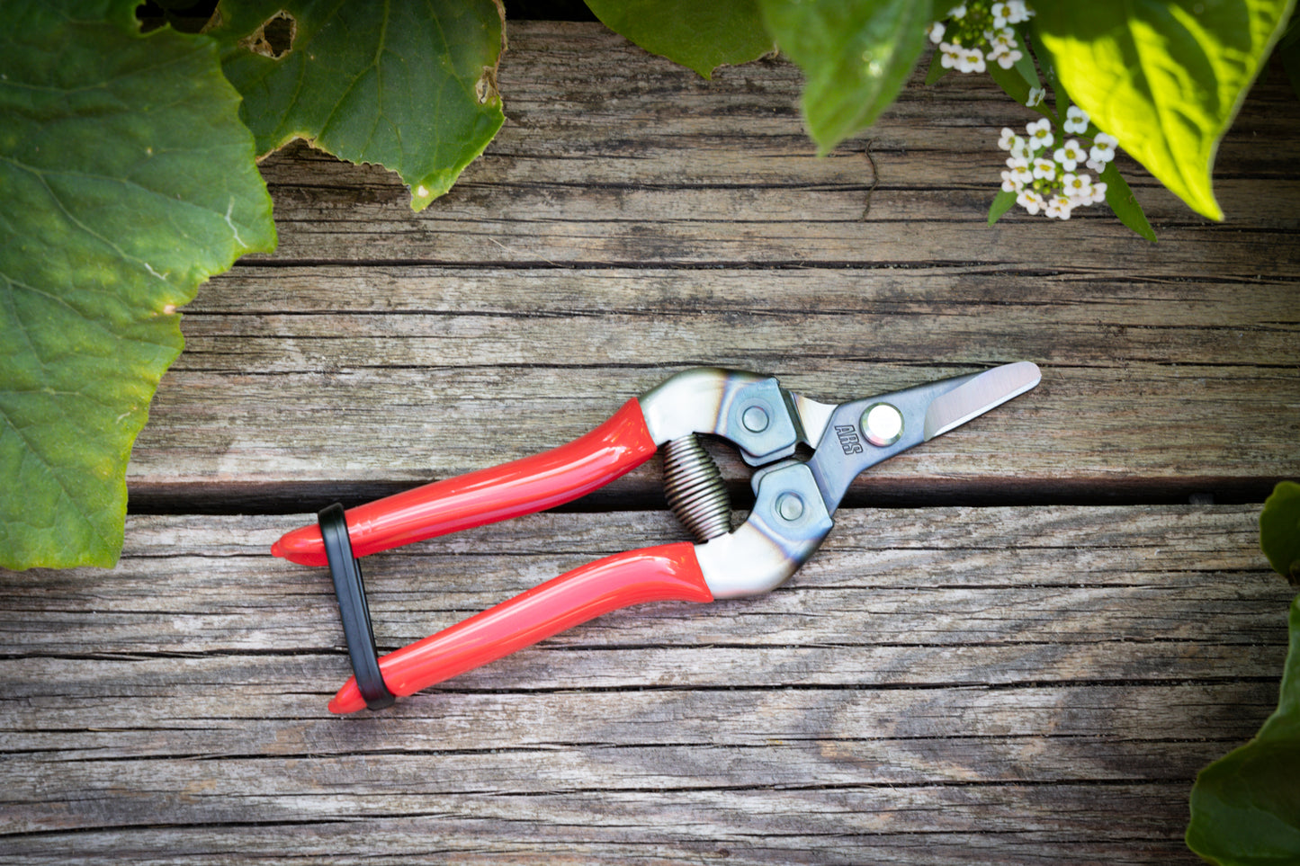 Cut360 Ernteschere, filigrane Obstschere, Gartenschere mit gebogener Klinge, Minischere geeignet als Bonsaischere