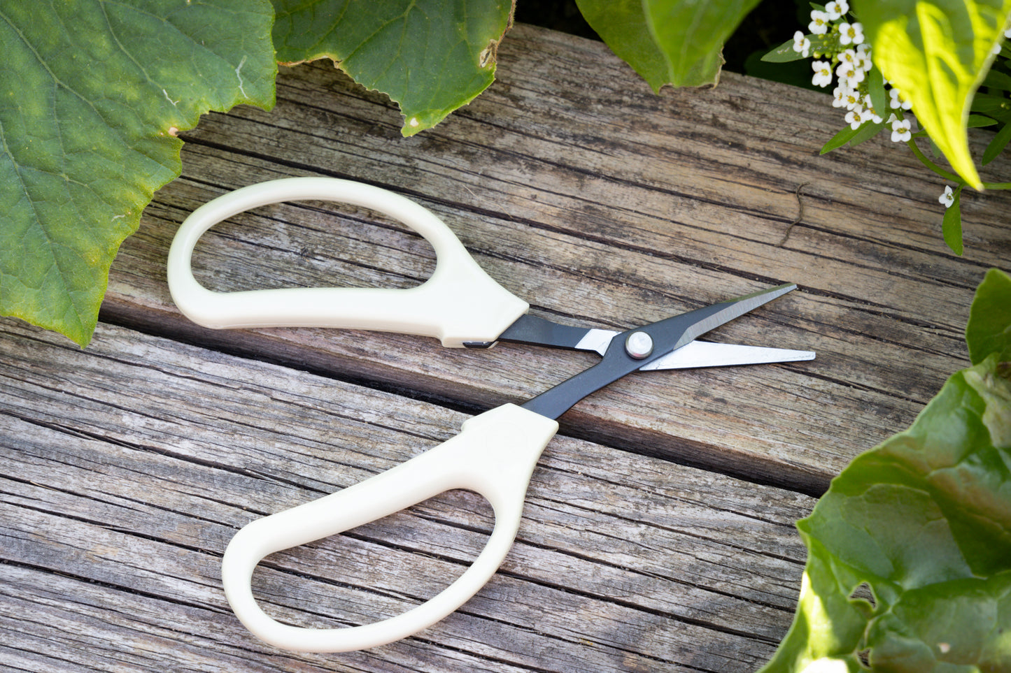 Cut360 Bonsaischere, Mini Schere, Scharfe Schere für Pflanzen, Minischere geeignet für Bonsai, Schere Klein für Pflanzen