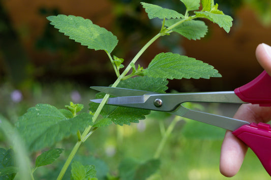 Cut360 Küchenschere, handliche und leichte Haushaltschere, Schere mit ergonomischem Griff und rostfreiem Stahl für ermüdungsfreies Arbeiten