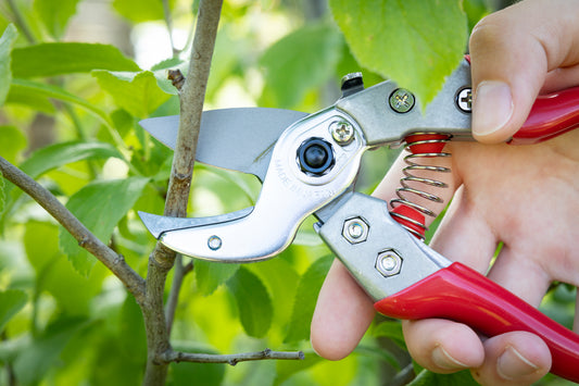 Cut360 Profi-Pflanzenschere für Astdurchmesser bis Ø 22 mm, Kleine Gartenschere perfekt ausbalanciert inkl. Einhandverriegelung