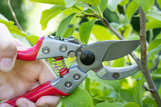 Cut360 Profi-Pflanzenschere für Astdurchmesser bis Ø 25 mm, Kleine Gartenschere perfekt ausbalanciert inkl. Einhandverriegelung