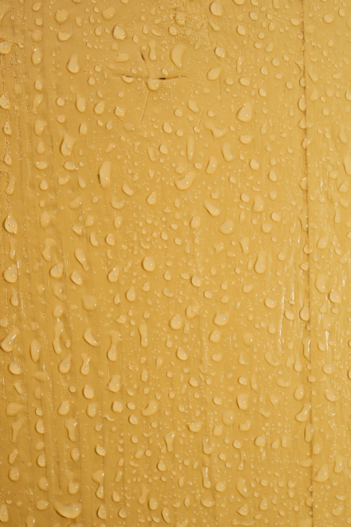 LEINOS Wetterschutzfarbe auf Wasserbasis 855 –10,0 l Maisgelb- Lösemittelfreier, matter Anstrich für unbehandelte Holzkonstruktionen im Außenbereich, ideal für sägeraues Holz