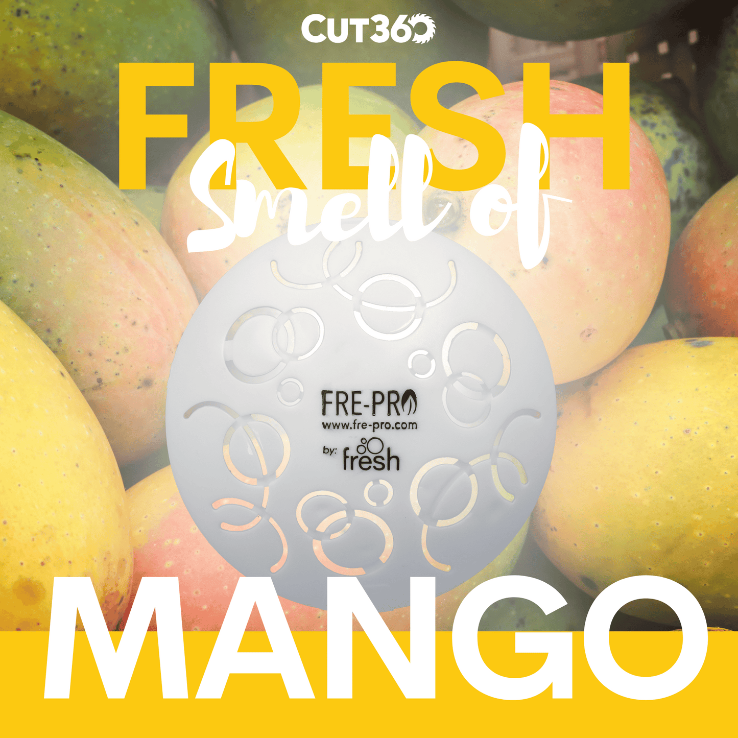 Cut360 Easy Fresh Raumduft Mango für große Räume, 1 Stk., 30 Tage Frischewirkung, Hochkonzentrierter Lufterfrischer in weiß für passendem elektrischen Duftspender