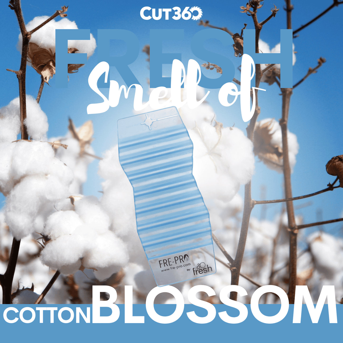 Cut360 Fresh Hang Tag Raumduft, 12 Stk, nachhaltiger und langanhaltender Lufterfrischer Cotton Blossom praktischer und intensiver Raumerfrischer