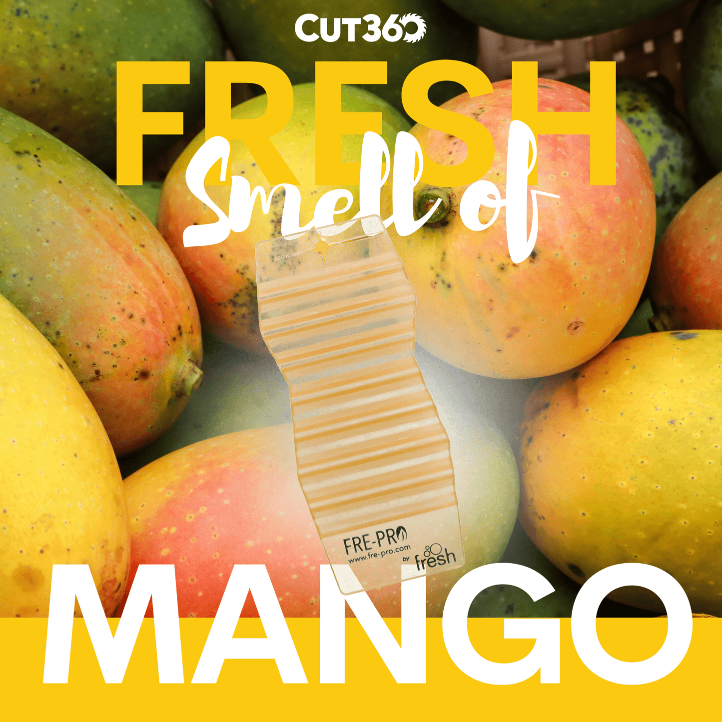 Cut360 Fresh Hang Tag Raumduft, 12 Stk, nachhaltiger und langanhaltender Lufterfrischer Mango praktischer und intensiver Raumerfrischer