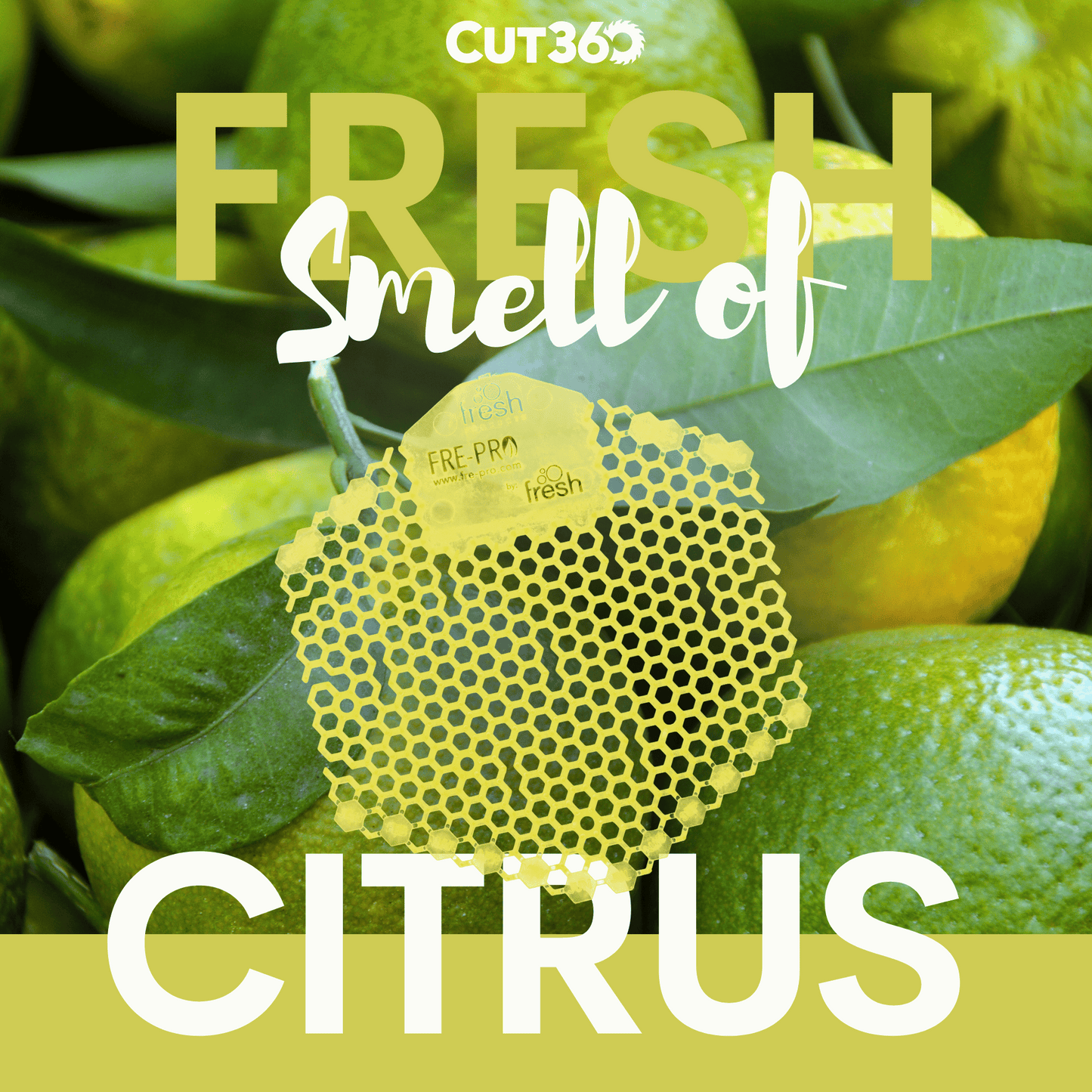 Cut360 Fresh Wave 3D der WC Duft für Pissoir, 10 Stk, nachhaltiger und langanhaltender Toiletten-Duft Citrus mit verbessertem Spritzschutz, stillvoller Urinaleinsatz