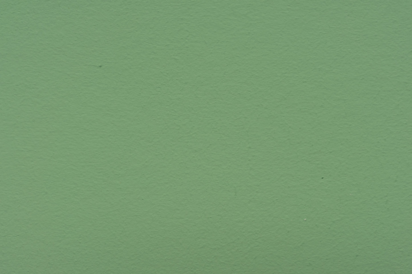 LEINOS Set Wandfarbe - Naturharz-Dispersionsfarbe 660 + Pigment-Konzentrat 668