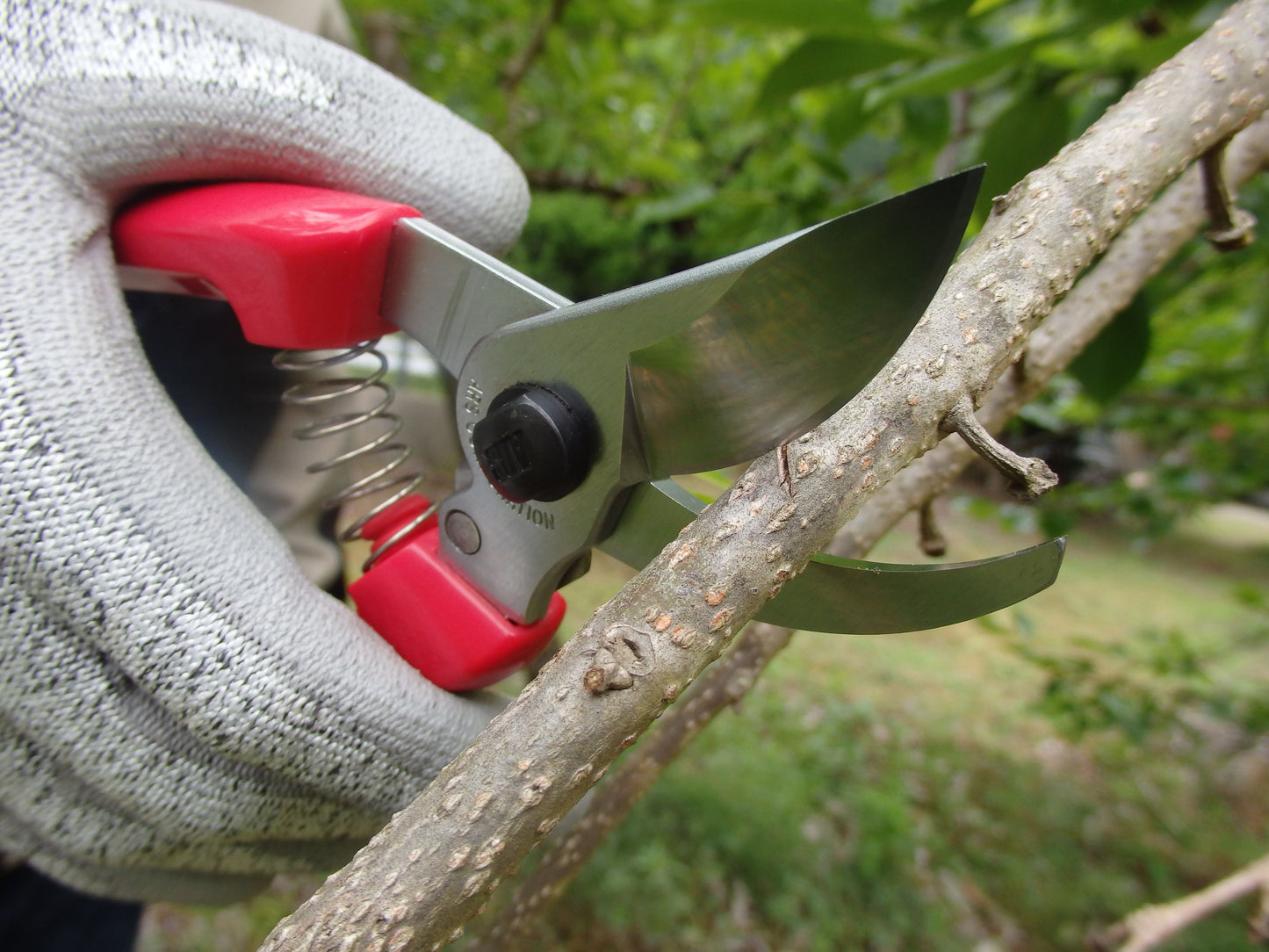 ARS Garten/Rosenschere 130DX speziell für Frauen Geeignet für den Schnitt von Zweigen, Ästen und anderen Pflanzen, ideal für den Einsatz in jedem Garten